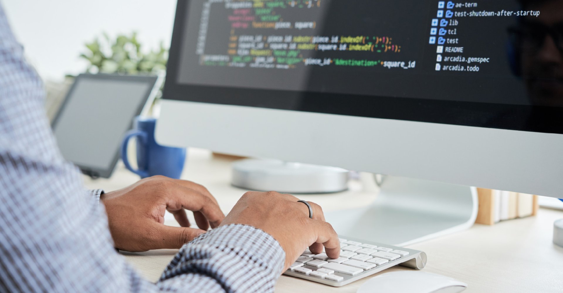 robim Выбары 2025